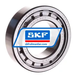 SKF NJ2210ECJ