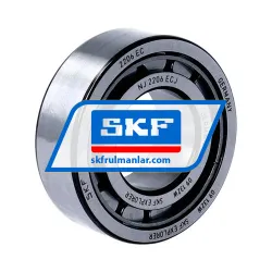SKF NJ2206ECJ