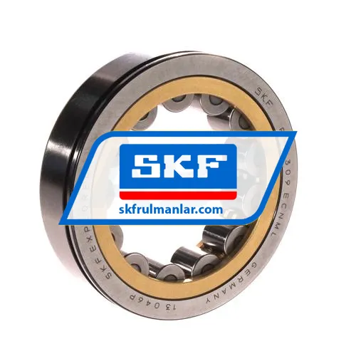 SKF RNU309ECNML