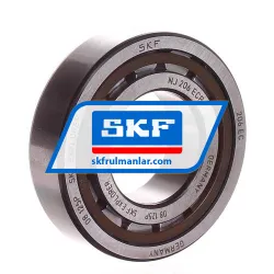SKF NJ206ECP