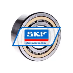 SKF NJ2310ECML/C4
