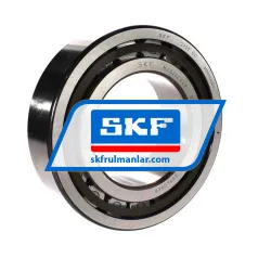 SKF NJ2222ECP