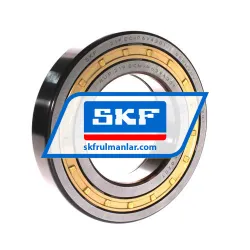 SKF NUP219ECM/C3VA301