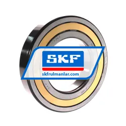 SKF NUP219ECM/C3VA301 rulman resim 2