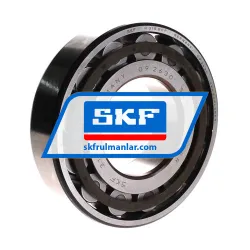 SKF N315ECP