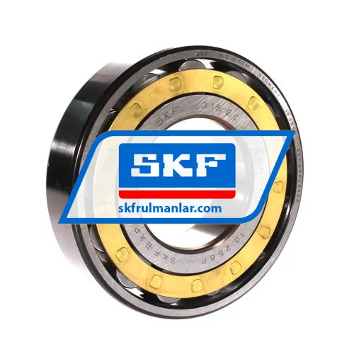 SKF N315ECM