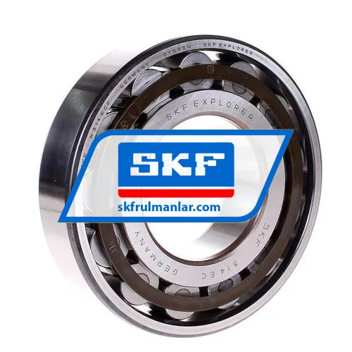 SKF N314ECP