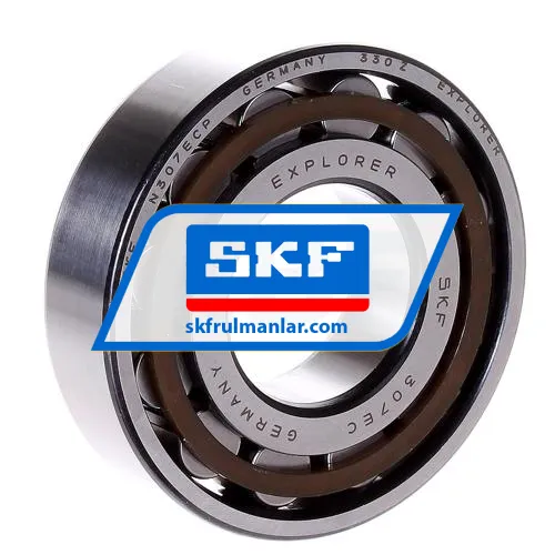 SKF N307ECP