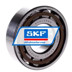 SKF N307ECP