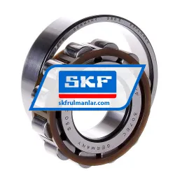 SKF N307ECP rulman resim 2