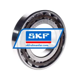SKF N213ECP