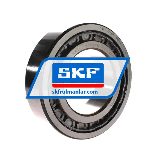 SKF NJ2222ECJ/C3
