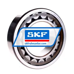 SKF NU2220ECP