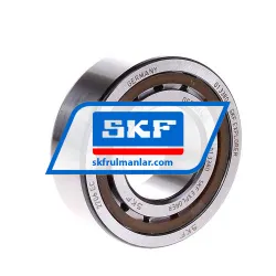 SKF NJ2206ECP