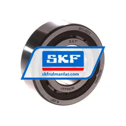 SKF BC1-0313