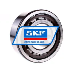 SKF NUP2313ECP
