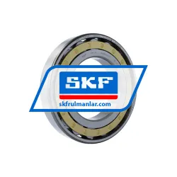 SKF N226ECM