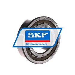 SKF NJ209ECP/C4