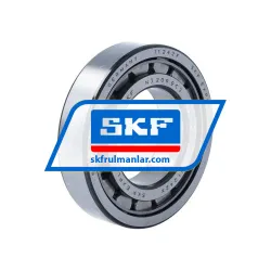 SKF NJ209ECJ