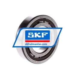SKF NJ209ECP