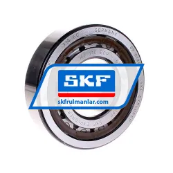 SKF NJ310ECP