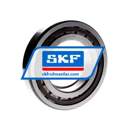 SKF NUP219ECP