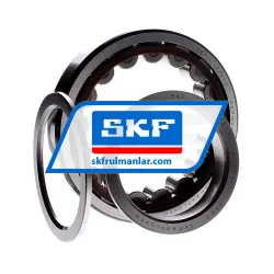 SKF NUP219ECP rulman resim 2