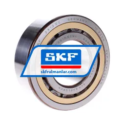 SKF NJ2313ECML