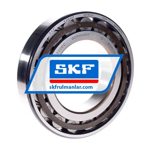 SKF N220ECP