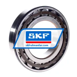 SKF N220ECP