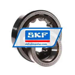 SKF NJ313ECP rulman resim 2