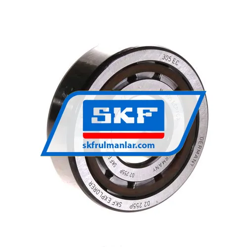 SKF NJ305ECP/C3
