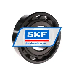 SKF N316