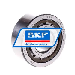 SKF NUP2306ECP