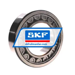 SKF NU2220ECJ/C3
