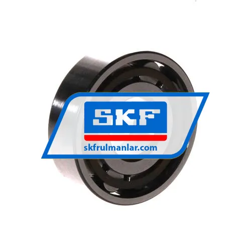 SKF N304ECP ürün fotoğrafı 2