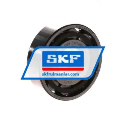 SKF N304ECP