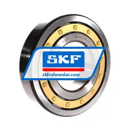SKF NJ320ECM/C4VA301