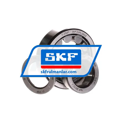 SKF NUP305ECJ ürün fotoğrafı 3