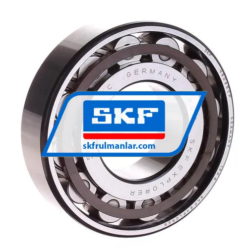 SKF N308ECP