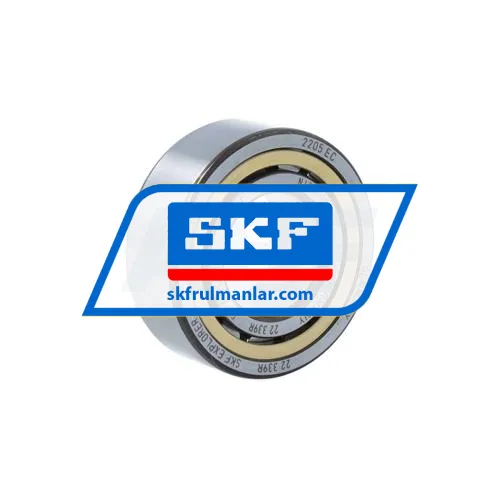 SKF NJ2205ECML/C4