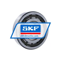 SKF NUP315ECP