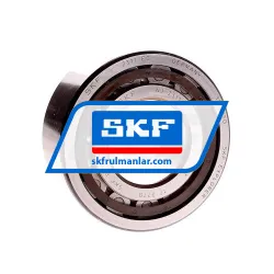SKF NJ2311ECP/C4