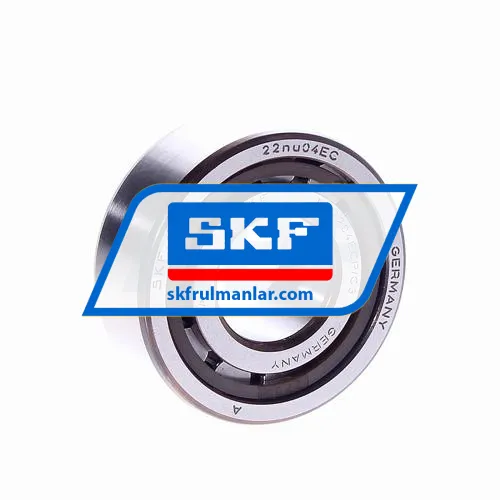 SKF NJ2204ECP/C3