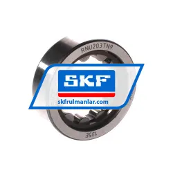 SKF RNU203TN9