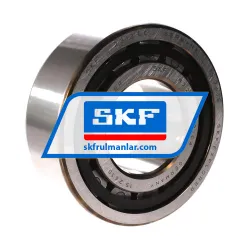 SKF NJ2313ECP/C4