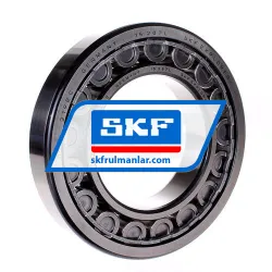 SKF NU219ECJ/C3
