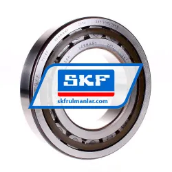 SKF NJ221ECP