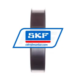 SKF LN209E rulman resim 3