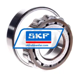 SKF N313ECP/C3 rulman resim 2